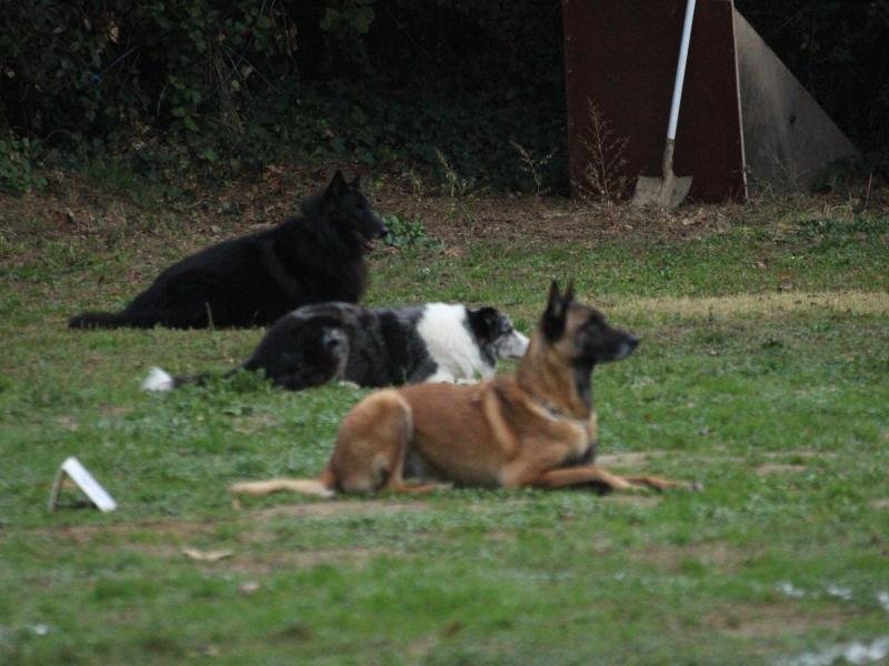 cours collectif