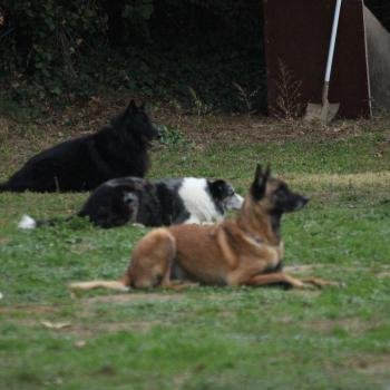 cours collectif