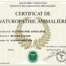 certificat