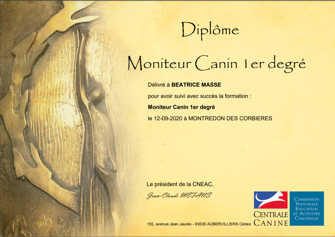 moniteur