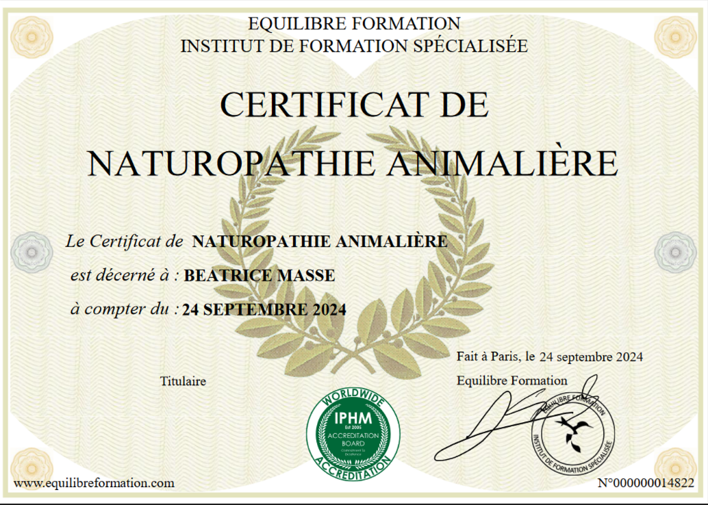 certificat